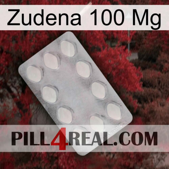 Zudena 100Mg 16.jpg